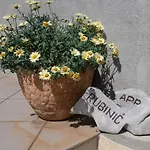 Rubinic *